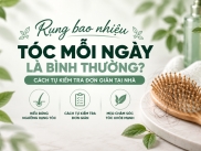 Rụng Bao Nhiêu Tóc Mỗi Ngày Là Bình Thường? Cách Tự Kiểm Tra