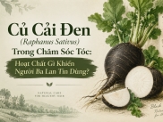 Củ Cải Đen (Raphanus Sativus) Trong Chăm Sóc Tóc: Hoạt Chất Gì Khiến Người Ba Lan Tin Dùng?