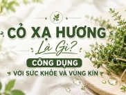 Cỏ Xạ Hương Là Gì? Công Dụng Với Sức Khỏe Và Vùng Kín