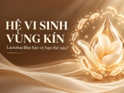 Hệ Vi Sinh Vùng Kín: Lactobacillus Bảo Vệ Bạn Thế Nào?