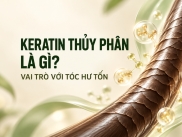 Keratin Thủy Phân Là Gì? Vai Trò Với Tóc Hư Tổn
