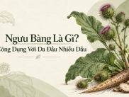 Ngưu Bàng Là Gì? Công Dụng Với Da Đầu Nhiều Dầu