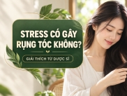 Stress Có Gây Rụng Tóc Không? Giải Thích Từ Dược Sĩ