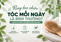 Rụng Bao Nhiêu Tóc Mỗi Ngày Là Bình Thường? Cách Tự Kiểm Tra