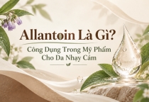 Allantoin Là Gì? Công Dụng Trong Mỹ Phẩm Cho Da Nhạy Cảm