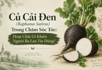 Củ Cải Đen (Raphanus Sativus) Trong Chăm Sóc Tóc: Hoạt Chất Gì Khiến Người Ba Lan Tin Dùng?