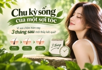 Chu kỳ sống của một sợi tóc: vì sao chăm hôm nay 3 tháng sau mới thấy kết quả