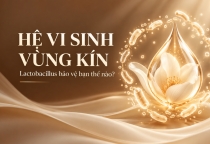 Hệ Vi Sinh Vùng Kín: Lactobacillus Bảo Vệ Bạn Thế Nào?