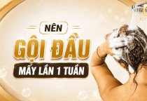 Nên Gội Đầu Mấy Lần 1 Tuần? Tần Suất Chuẩn Cho Từng Loại Tóc