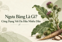 Ngưu Bàng Là Gì? Công Dụng Với Da Đầu Nhiều Dầu