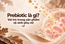 Prebiotic Là Gì? Vai Trò Trong Sản Phẩm Vệ Sinh Phụ Nữ