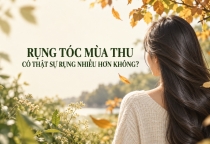 Rụng Tóc Mùa Thu: Có Thật Sự Rụng Nhiều Hơn Không?
