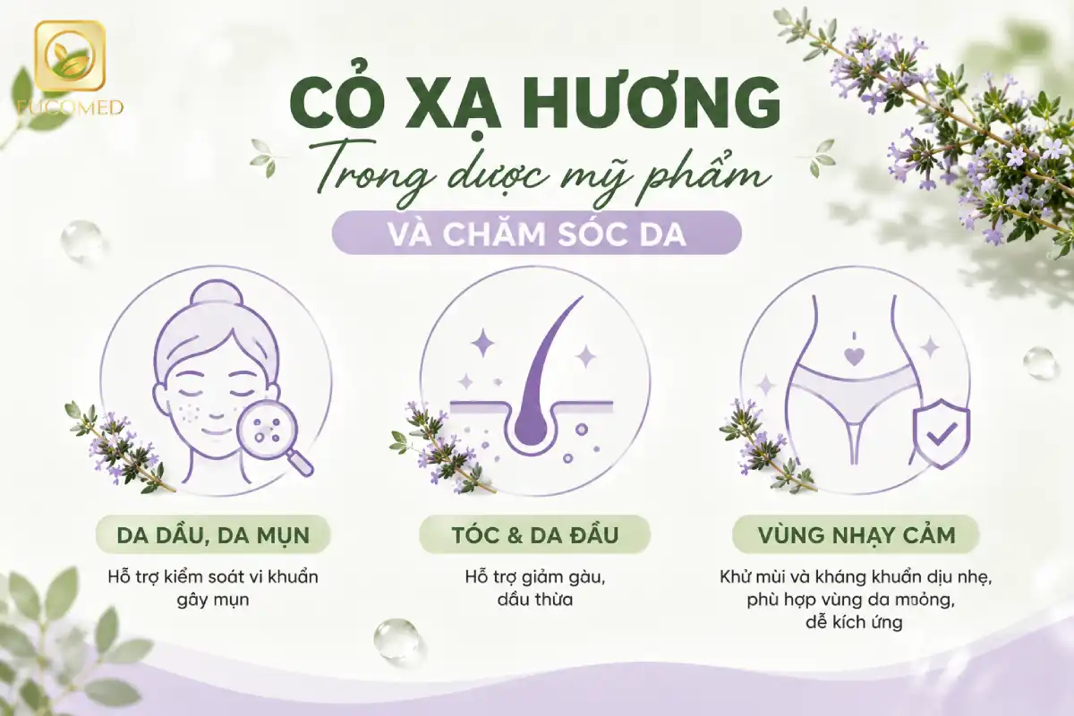 cỏ xạ hương trong dược mỹ phẩm