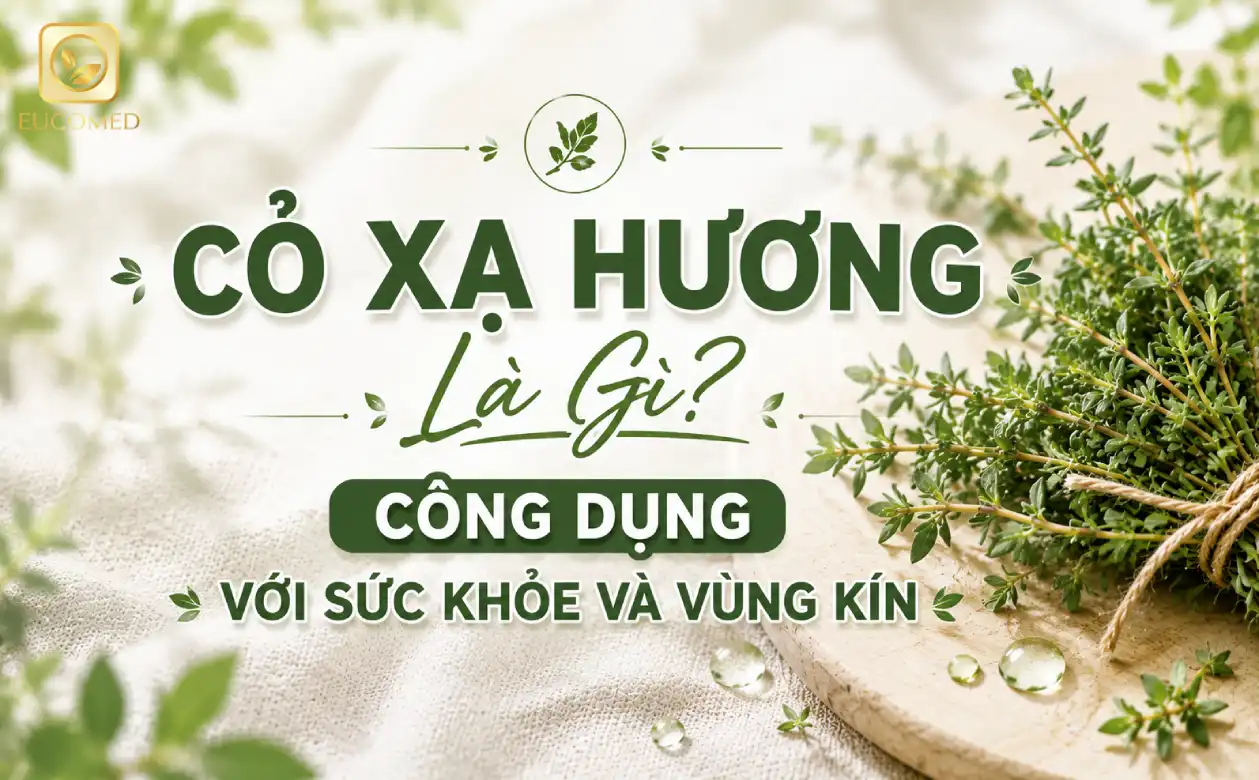 cỏ xạ hương