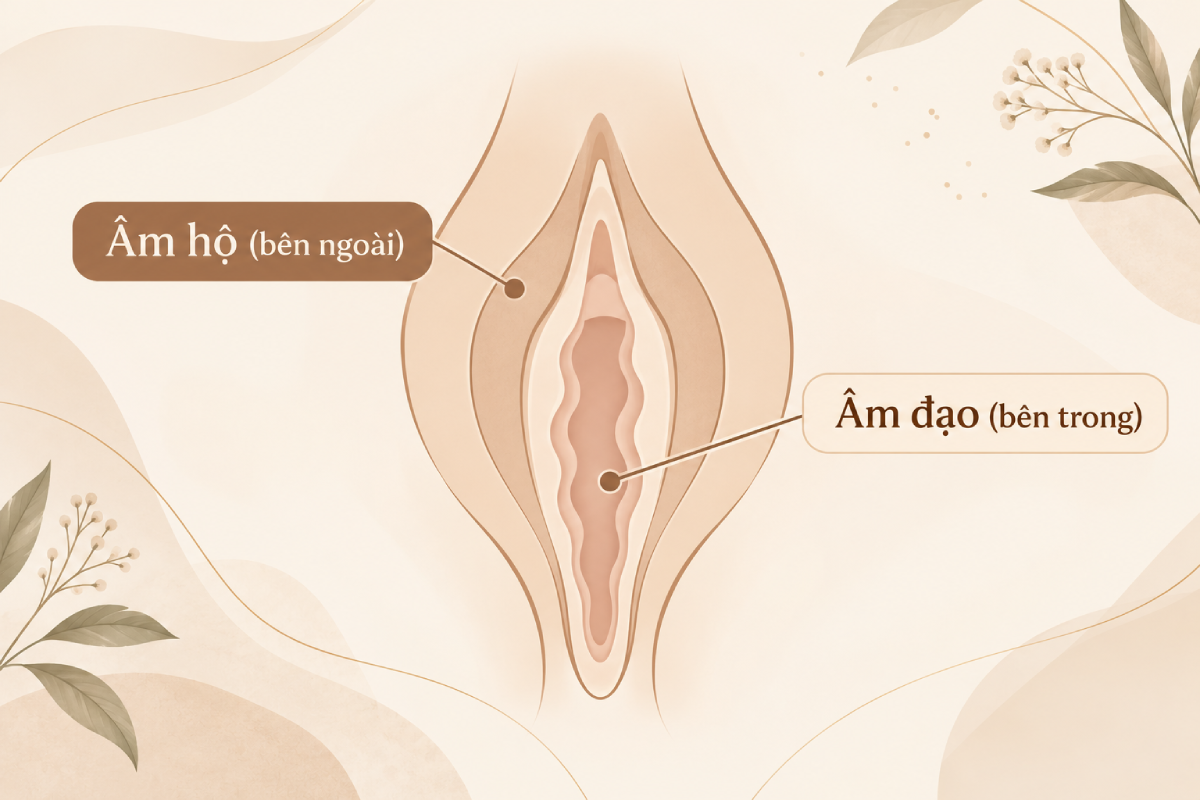 viêm âm đạo và viêm âm hộ khác nhau thế nào