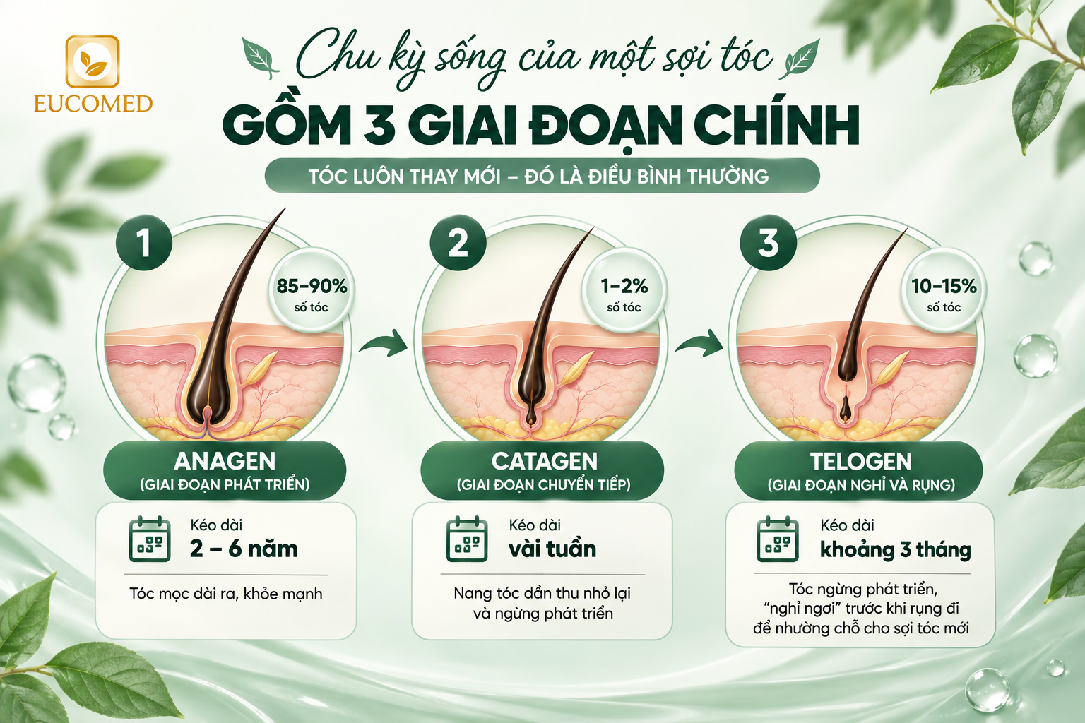mỗi ngày rụng bao nhiêu sợi tóc là bình thường
