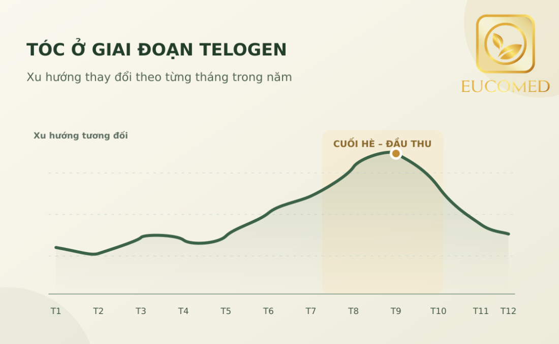 rụng tóc nhiều vào mùa thu
