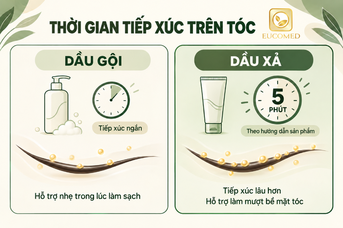 Keratin thủy phân là gì 
