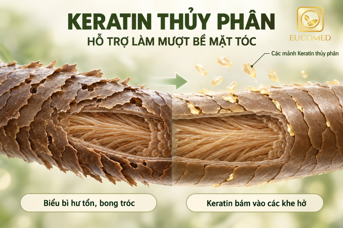 Keratin thủy phân