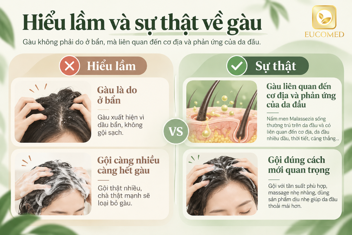 sự thật về gàu