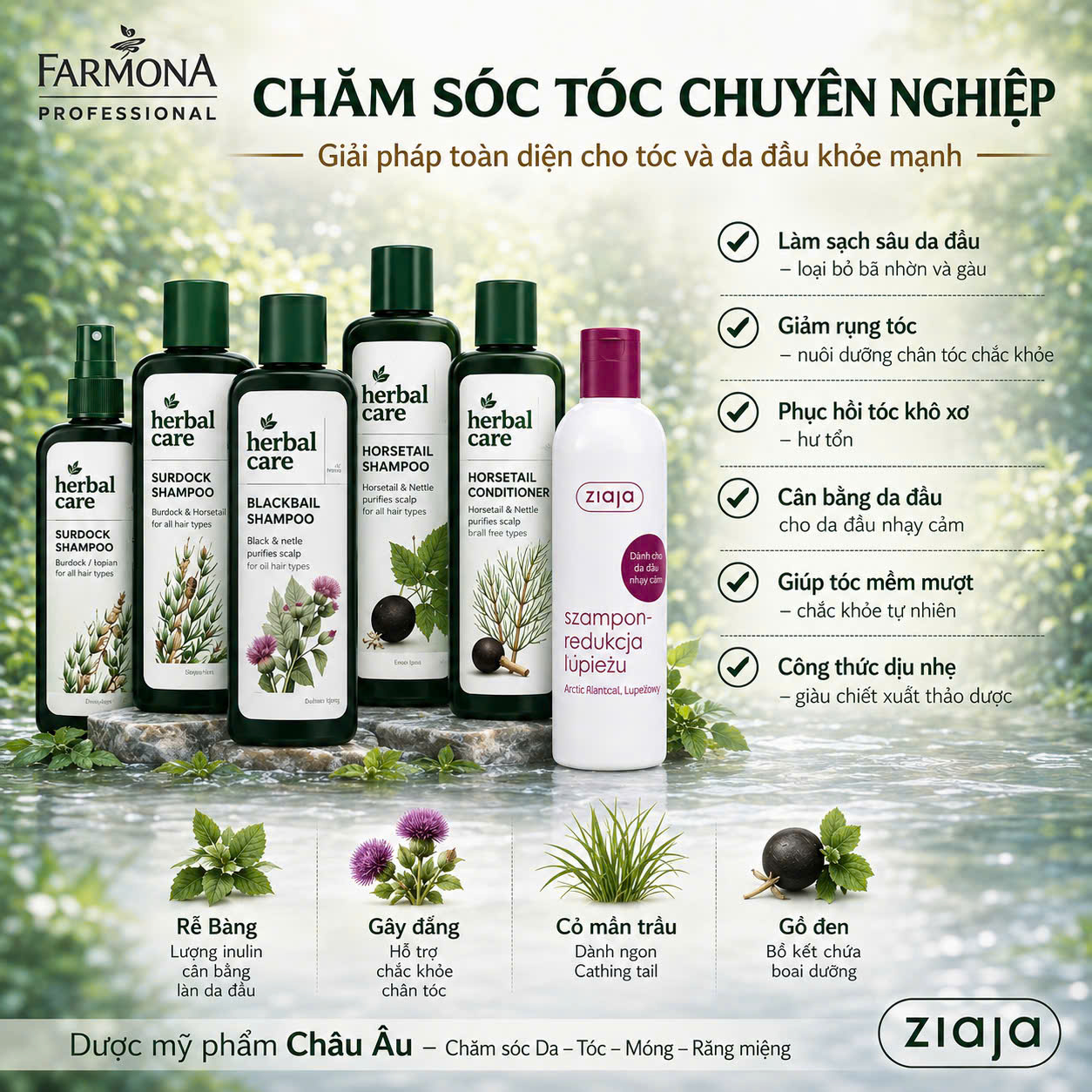 CHĂM SÓC TÓC