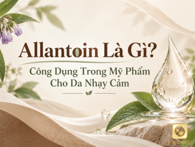 Allantoin Là Gì? Công Dụng Trong Mỹ Phẩm Cho Da Nhạy Cảm