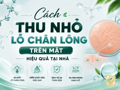 Cách Thu Nhỏ Lỗ Chân Lông Trên Mặt Hiệu Quả Tại Nhà