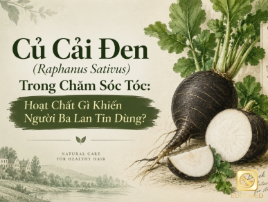 Củ Cải Đen (Raphanus Sativus) Trong Chăm Sóc Tóc: Hoạt Chất Gì Khiến Người Ba Lan Tin Dùng?