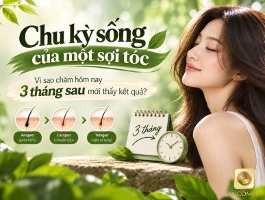 Chu kỳ sống của một sợi tóc: vì sao chăm hôm nay 3 tháng sau mới thấy kết quả