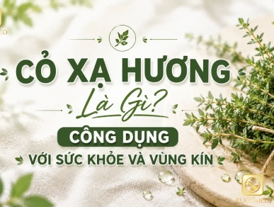 Cỏ Xạ Hương Là Gì? Công Dụng Với Sức Khỏe Và Vùng Kín