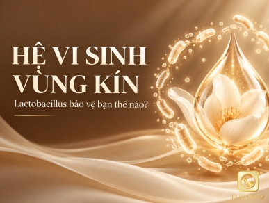 Hệ Vi Sinh Vùng Kín: Lactobacillus Bảo Vệ Bạn Thế Nào?