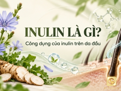 Inulin Là Gì? Công Dụng Của Inulin Trên Da Đầu