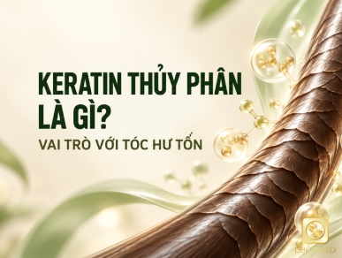 Keratin Thủy Phân Là Gì? Vai Trò Với Tóc Hư Tổn