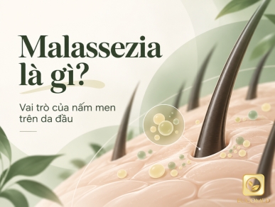 Malassezia Là Gì? Vai Trò Của Nấm Men Trên Da Đầu