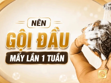 Nên Gội Đầu Mấy Lần 1 Tuần? Tần Suất Chuẩn Cho Từng Loại Tóc