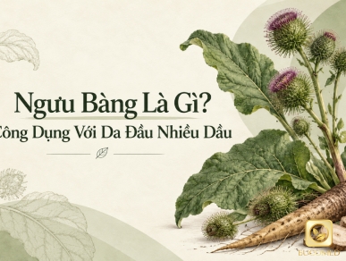 Ngưu Bàng Là Gì? Công Dụng Với Da Đầu Nhiều Dầu