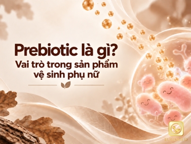 Prebiotic Là Gì? Vai Trò Trong Sản Phẩm Vệ Sinh Phụ Nữ