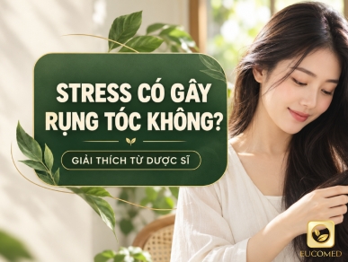 Stress Có Gây Rụng Tóc Không? Giải Thích Từ Dược Sĩ