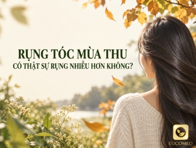 Rụng Tóc Mùa Thu: Có Thật Sự Rụng Nhiều Hơn Không?